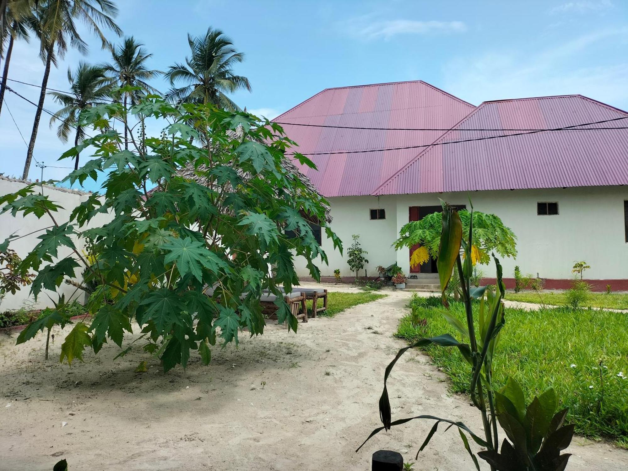 Mambo Leo Hostel Paje Eksteriør billede
